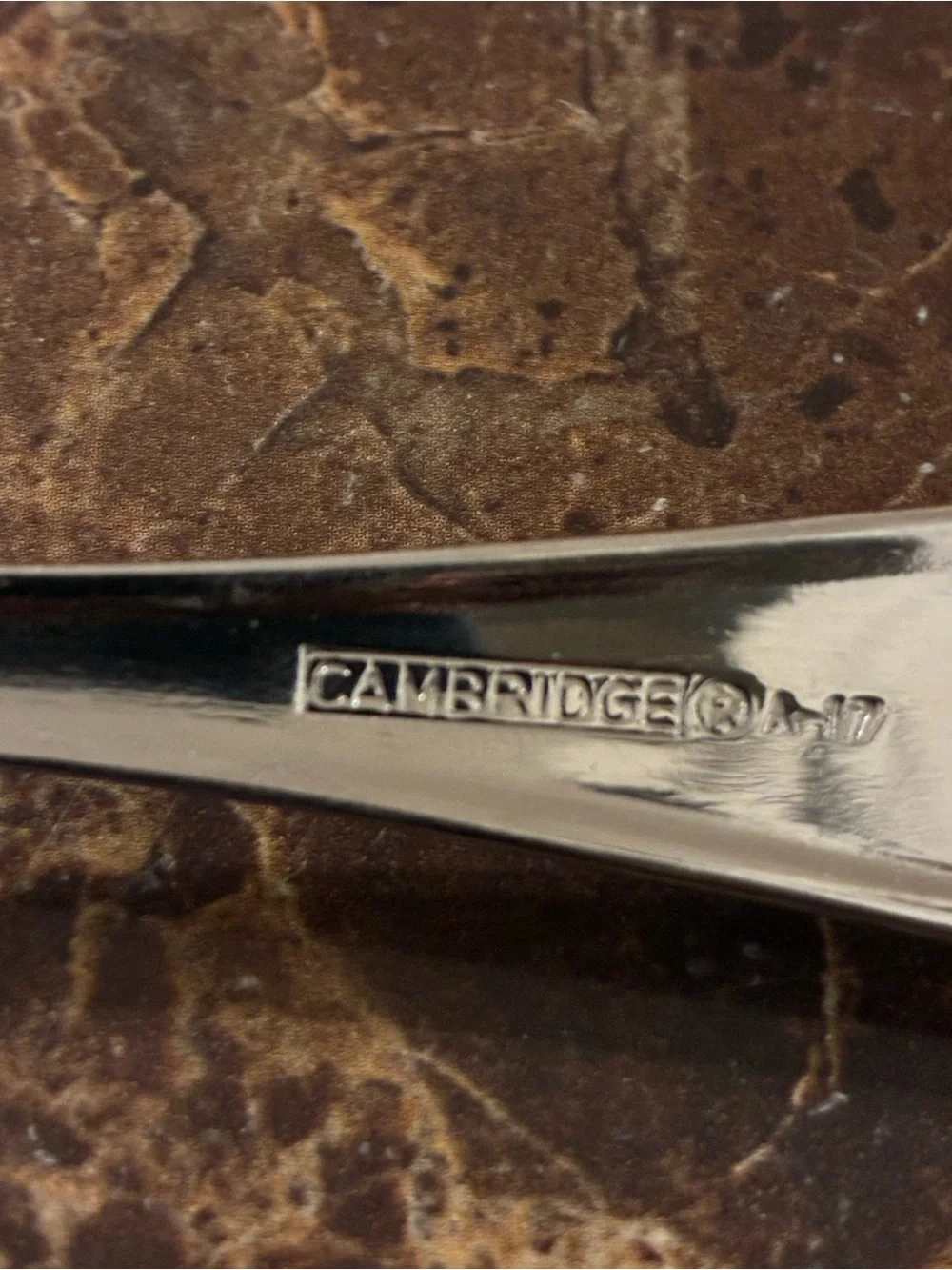 Cambridge Cherish Salad Forks And Dinner Forks Flatware (Set of 5)